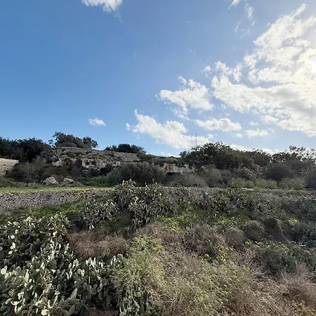 The Nest Siekel Townhouse