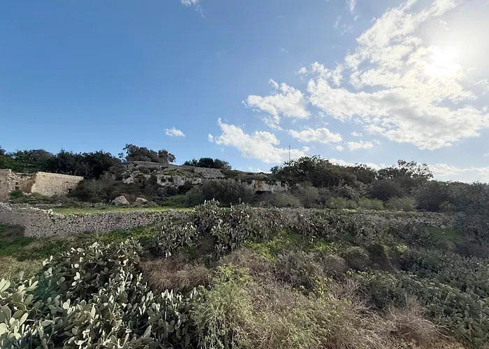 The Nest Siekel Townhouse